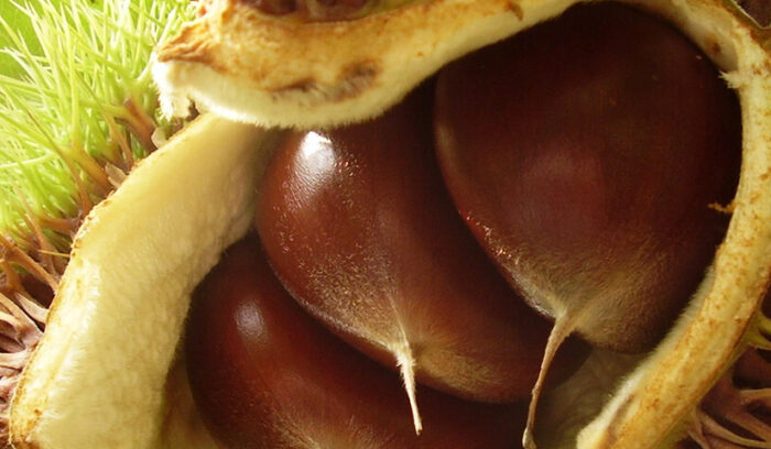 美しい水と肥沃な大地で作られる農産物  