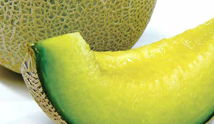 国内では珍しい、橘種の生産県  