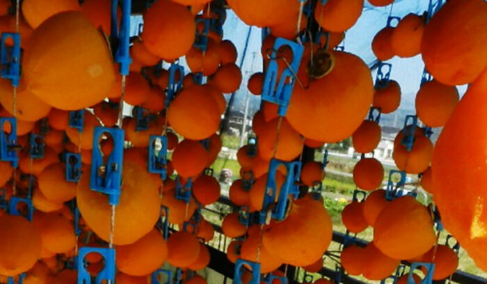 多くの特産果樹を有する 