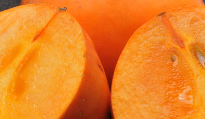 古都・奈良の歴史を担う2種  