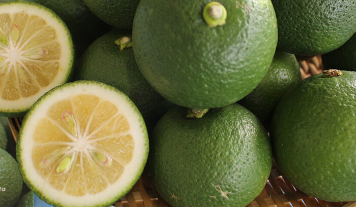 大分と言えばの果実。その名も「大分一号」 