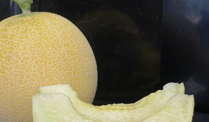 昔のメロン、今のメロン  