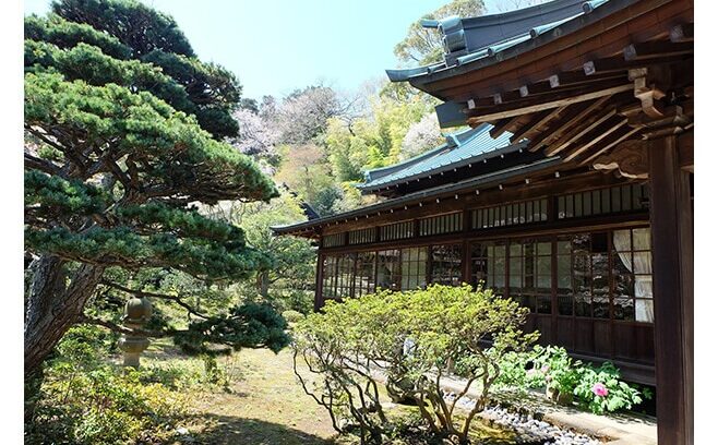 Chefs share the spirit of Alice Waters’ “Simple food”