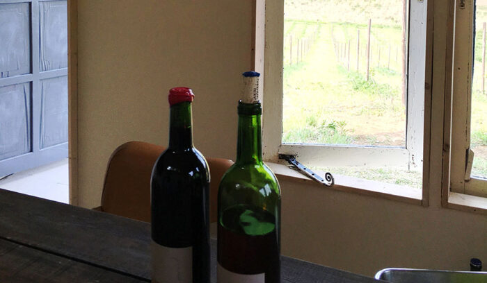 あるものを探す年にしましょう