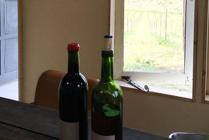 あるものを探す年にしましょう