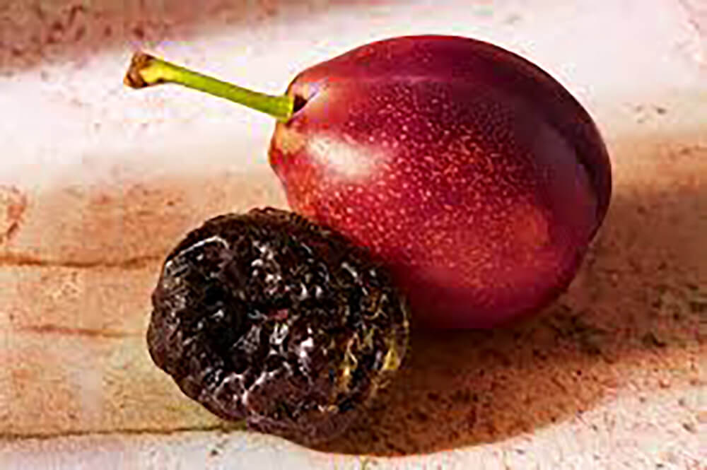 日本市場の97％を占めるカリフォルニア プルーン