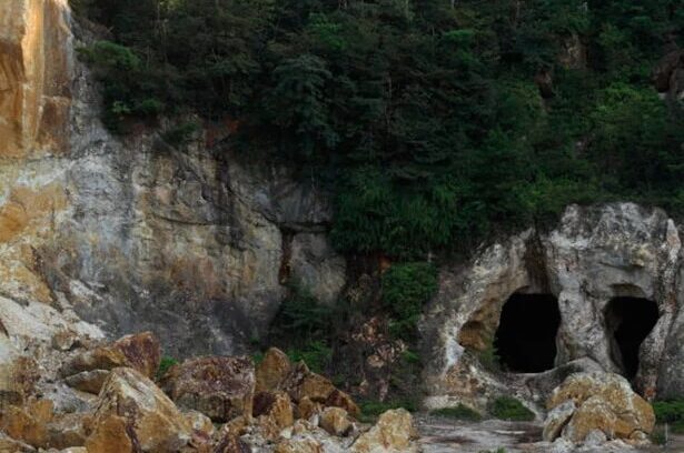 “We knew we could do something interesting with Arita.” 