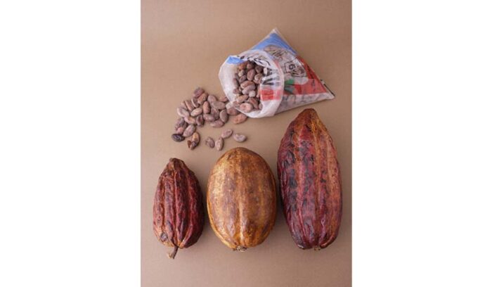 第1話「カカオプランナーになる！」（全5話）