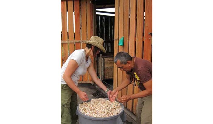 第２話「言葉より技術で交流する」（全5話）