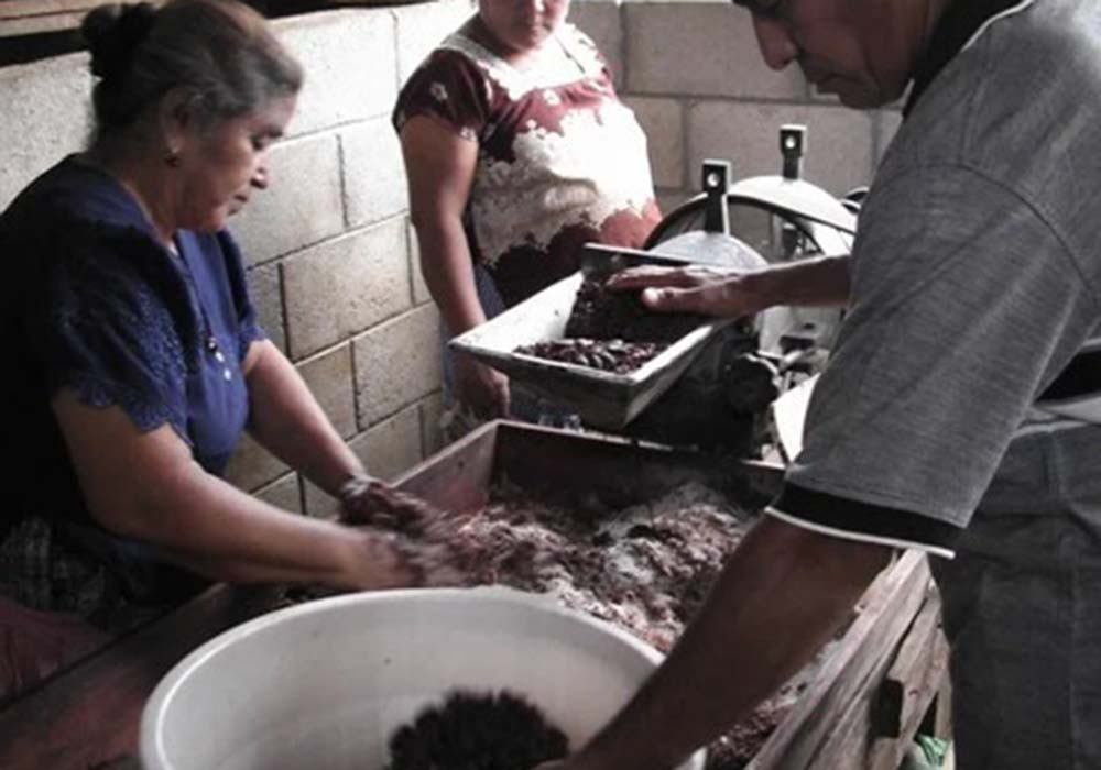 チョコレート文化に関する調査