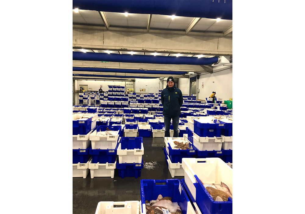 ベルギーで最大の漁港であり魚市場であるジーブルージュの朝。