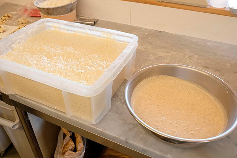 自家培養発酵種2種。