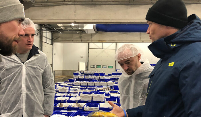 もう「貧しい魚」とは呼ばせない。