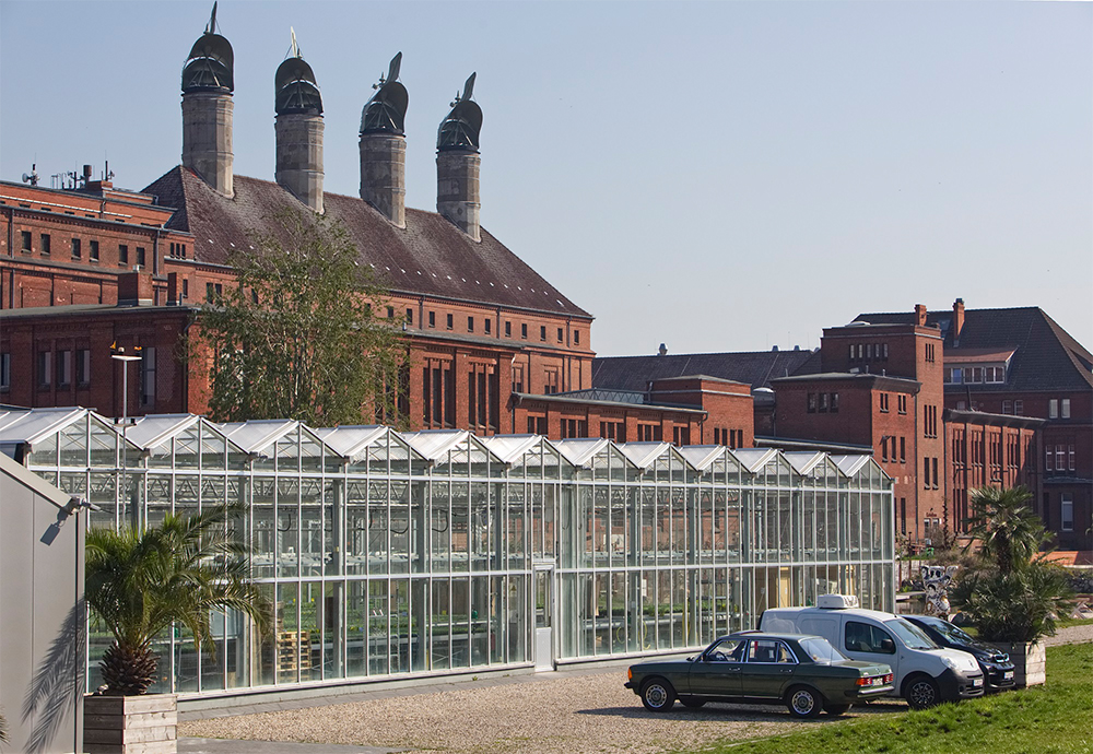 REWEとの提携時に「週に7500鉢は欲しい」と依頼され、現在はバジルのみを育てている。水耕栽培のものより鉢植えが人気ということで、土耕栽培にシフトした。