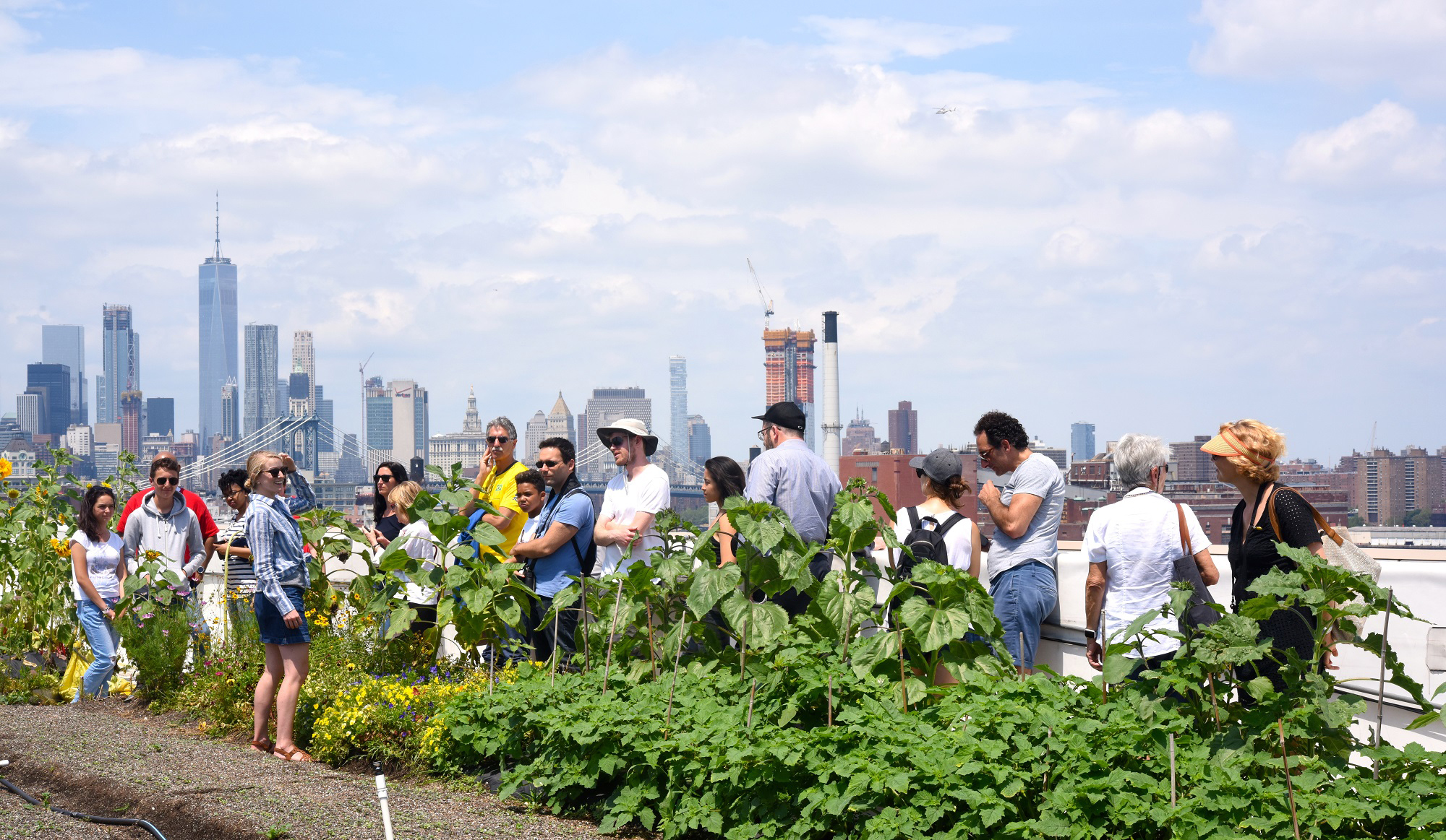 世界のアーバン・ファーミング最新事情 vol.2 都市農業をビジネスとして成立させた屋上農園