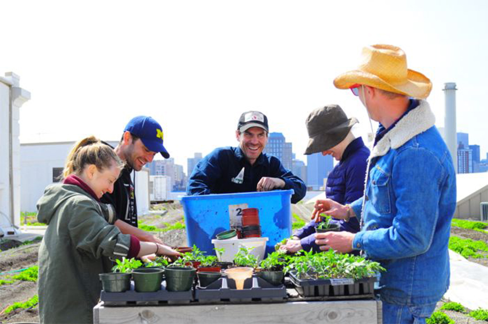敷地内の温室で育った苗木を実際の土壌へ移動。コストと手間を考慮して公式認定は受けていないが、生産物は実質全てオーガニックだ。写真中央がベン・フラナー氏。
