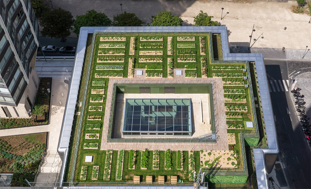 設備荷重の多い料理学校の特性上、建物全体の軽量化のためにも屋上農園は有益だった。全緑化面積のうち約200平米に作付け。