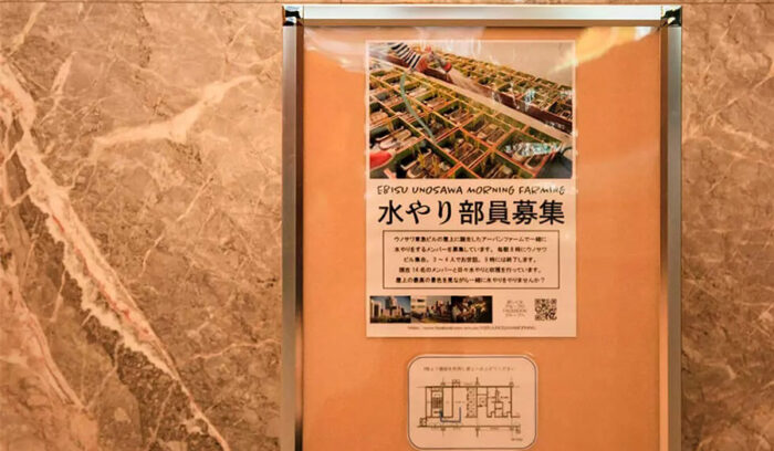 アーバン ファーマーズ クラブに聞く経験ゼロからの野菜づくり