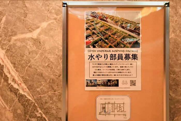 アーバン ファーマーズ クラブに聞く経験ゼロからの野菜づくり