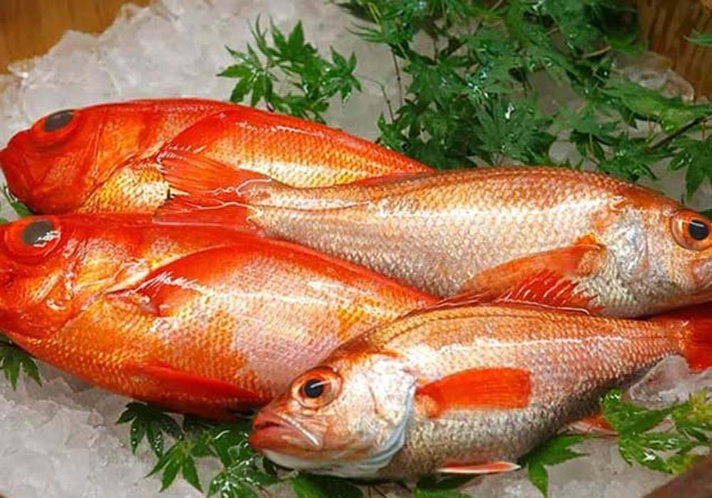 魚の形、ツヤ、張りなどから脂ののり具合などを瞬時に判断し、どの飲食店に届けるか振り分けていく。