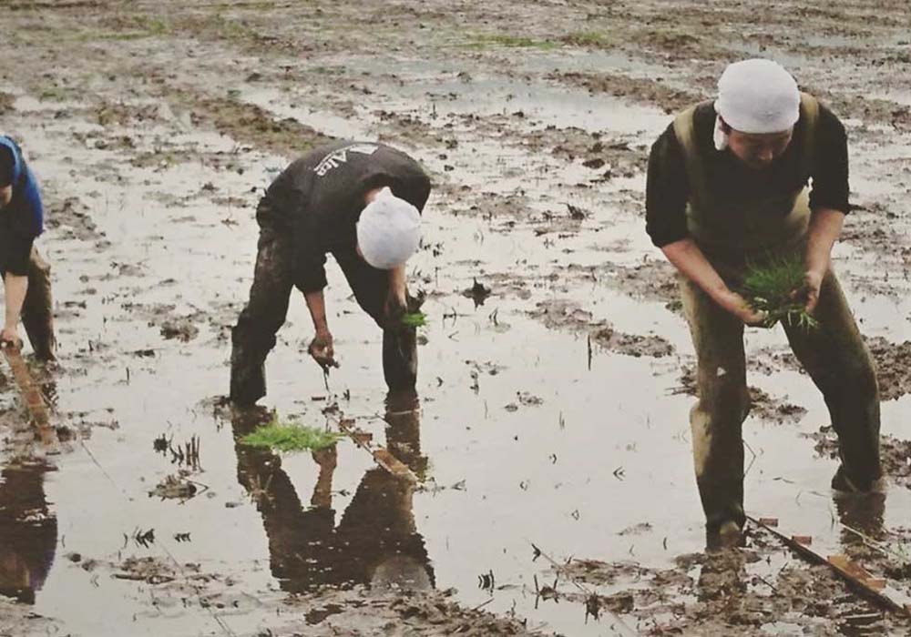 自然の恩恵に応えているか？とおの屋 要　佐々木要太郎さん