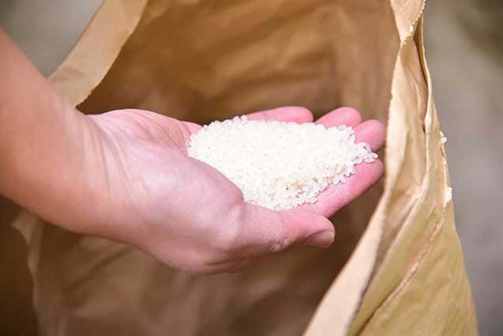 要太郎さんが育てるのは、モチ性遺伝子を交配していない「遠野一号」。昭和初期に開発されながら普及しなかった品種だ。1年間寝かせて使う。photograph by Yasuhiro Yahata