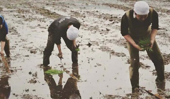 自然の恩恵に応えているか？　　　
