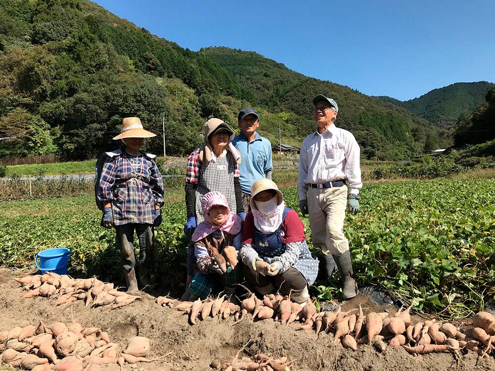 人参芋の生産者たち