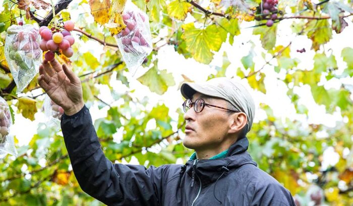 大地からの声――30        ２つの災害と向き合って思うこと。        「村一果樹園」村田吉隆さん、一葉さん