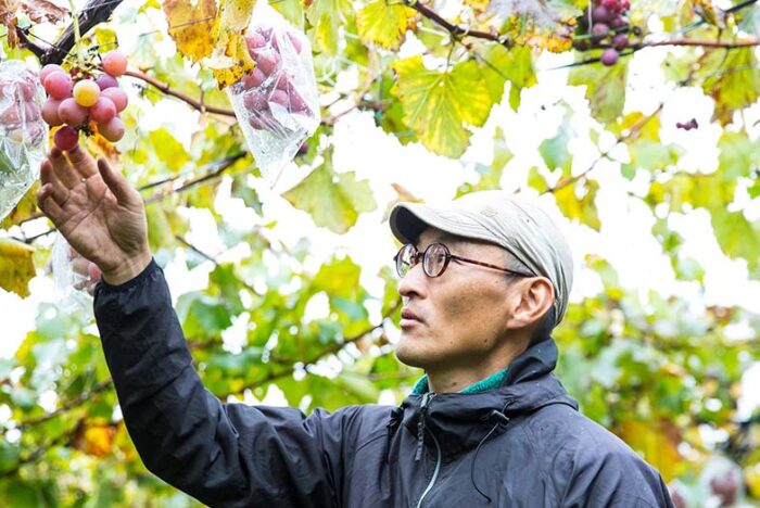 大地からの声――30        ２つの災害と向き合って思うこと。        「村一果樹園」村田吉隆さん、一葉さん