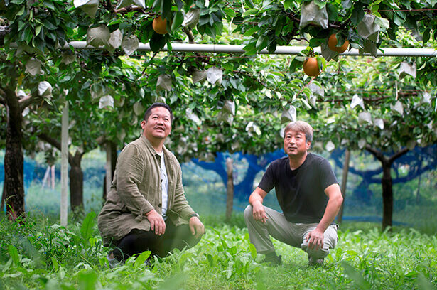 うきはテロワールの魅力