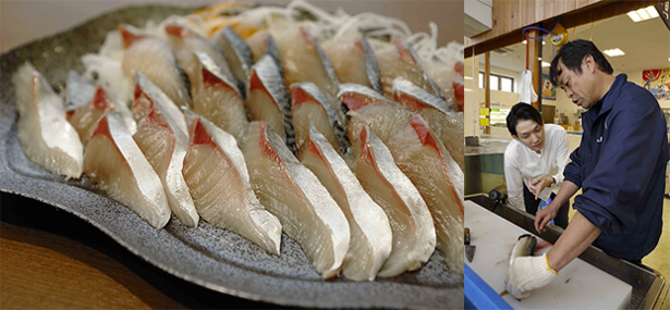 「豊穣の国・はりま」の魅力