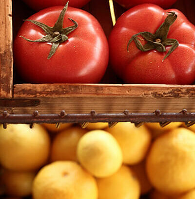 第2話「野菜は生活を変えるツール」（全5話）