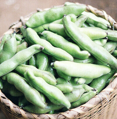 第4話「消費が未来を変える」（全5話）