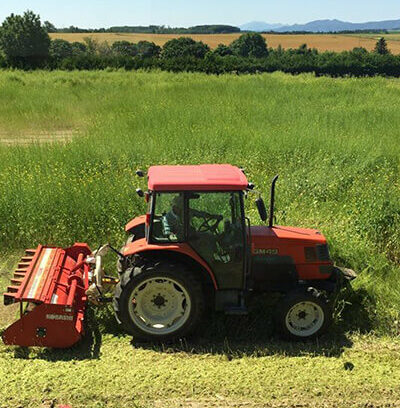 「わざわざ訪ねるべき」価値とは