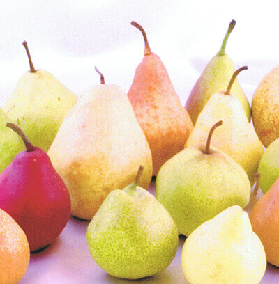 第2話「結婚後に始まった、“自分探し”」（全5話）