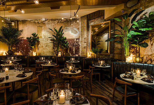 チャイナタウンに新風！