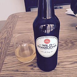 菌活中のシドニーっ子がコンブチャにはまる