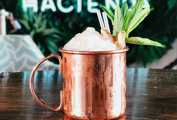 “ お茶の世界”に魅了される若者、急増中