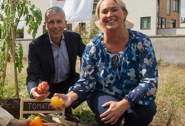 スーパーの屋上を菜園に