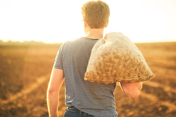 “落穂拾い”で食材を救え！