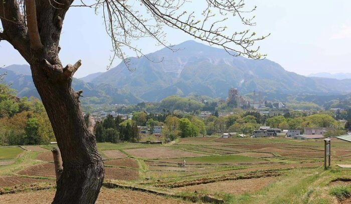 Beyond ordinary itineraries