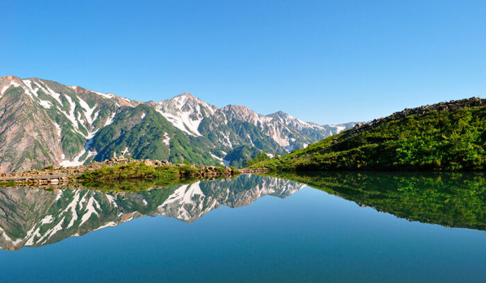 The White Horse for Philosophers and for Athletes