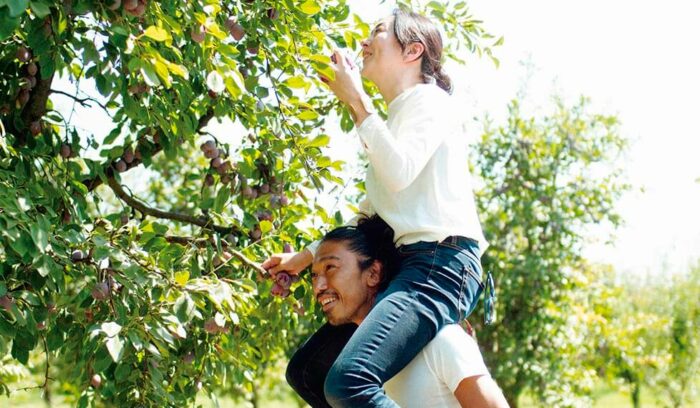 カリフォルニアプルーンの魅力を探す旅