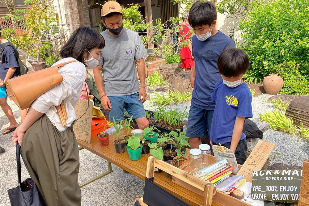 自家採取する風季農園の風季君は、苗や種を販売。丁寧な解説付き。