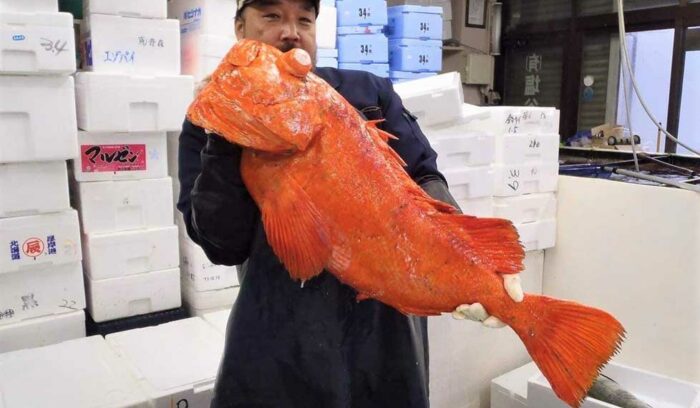 大地からの声――７信念を持って進む者が生き残る。塩谷魚店　塩谷孝さん