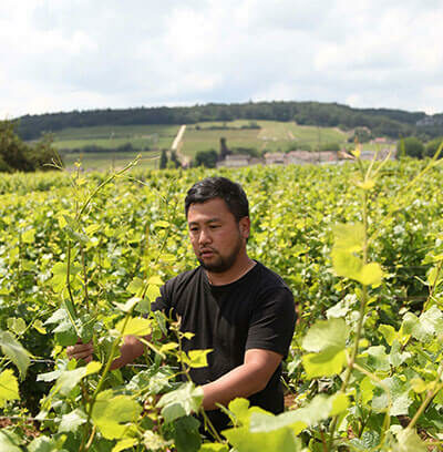 伊藤啓孝さん（いとう・ひろたか）「ドメーヌ・クヘイジ」栽培醸造責任者