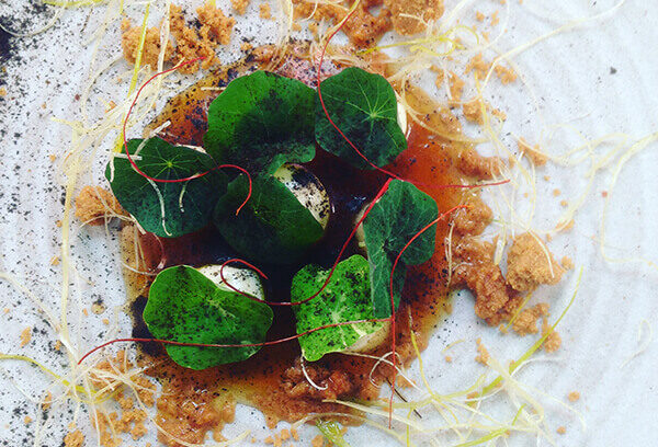 東ロンドン、ハックニーの店がミシュランを獲得