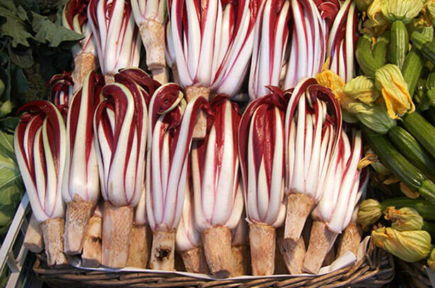 ～「L’AS」で味わうヴェネトの冬の味覚～