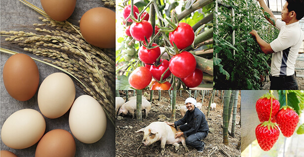 熊本の食材を味わって応援しよう！